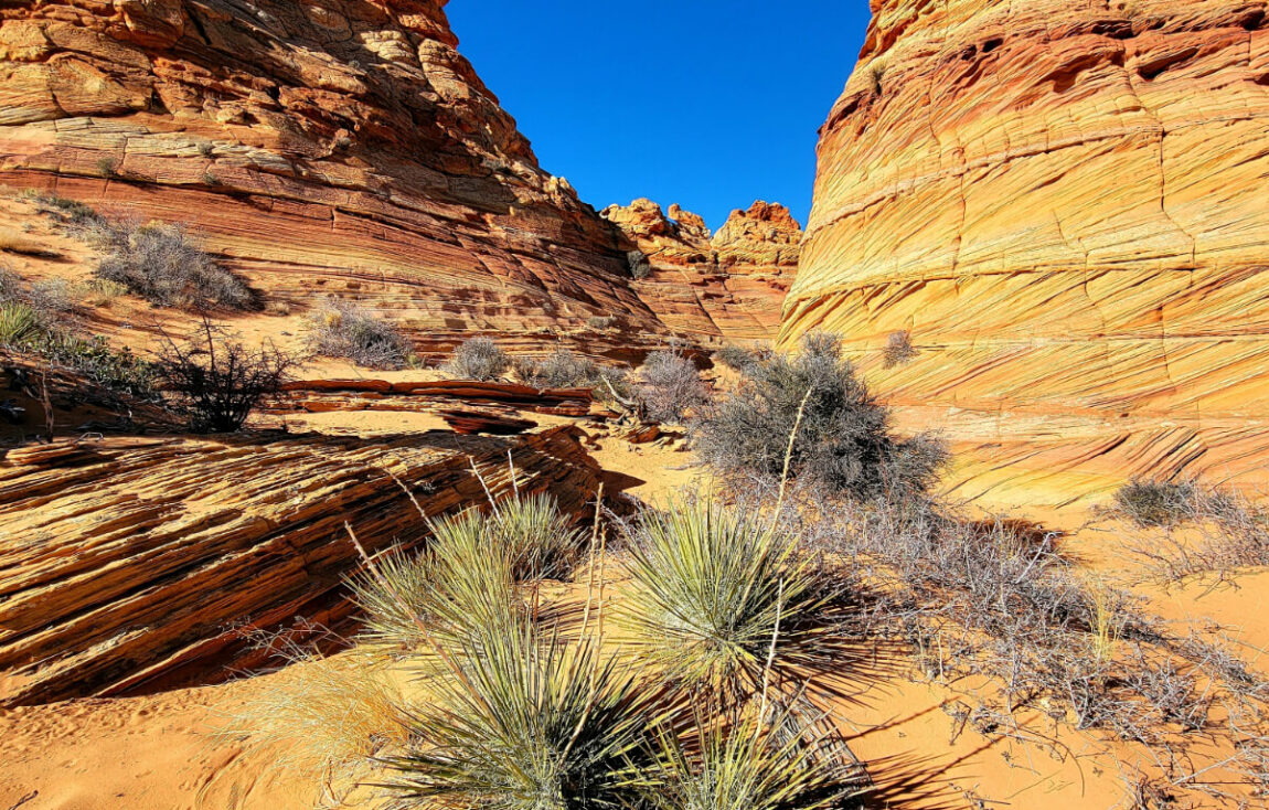 South Coyote Buttes | Utah Guided Tours